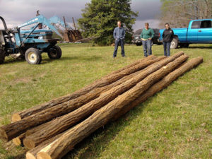 Cover photo for Construction of the Research Hop Yard Has Begun! (2011)