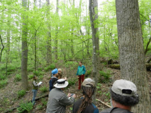 Cover photo for Specialty Crops We Are Studying-Arrange Tours to See