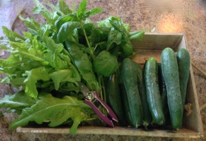 Cover photo for Vegetables and Summer’s Heat