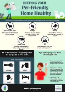 Cover photo for Keep Your Pet-Friendly Home Healthy