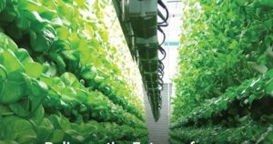 Vertical Farming