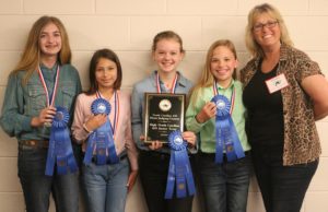 Cover photo for 2019 NC State 4-H Horse Judging Contest Winners