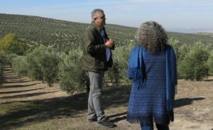 Cover photo for Sharing Agritourism Practices; a Sabbatical in Spain