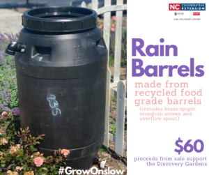 Photo of a rain barrel