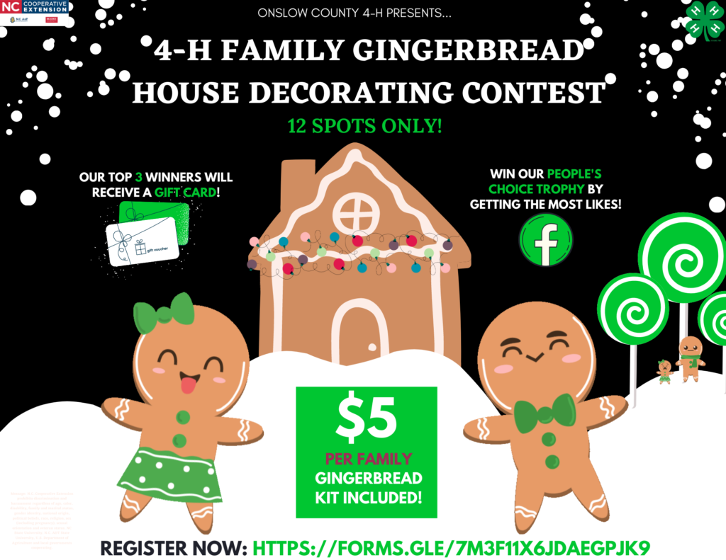 Drawing of gingerbread house and people