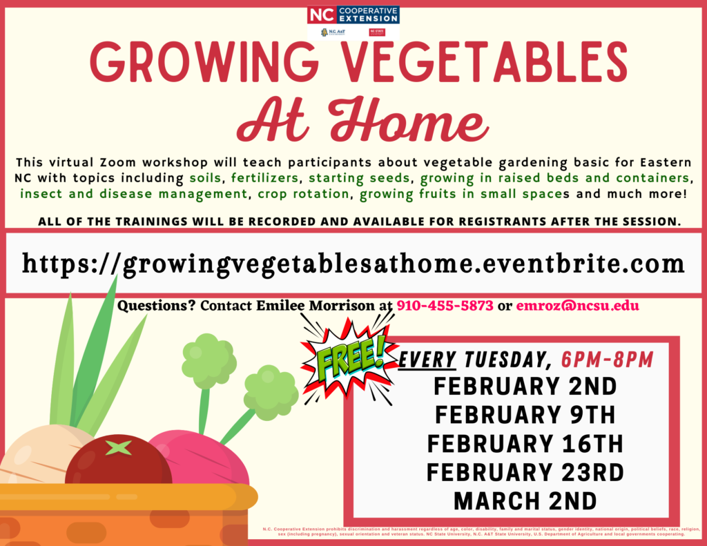 Growing Vegetables at Home flyer