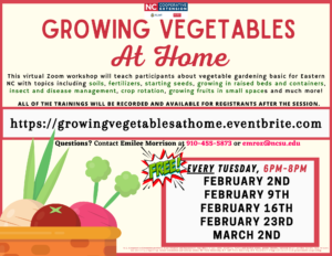 Cover photo for Growing Vegetables at Home