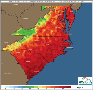 Cover photo for AWIS Weather Forecast: Widespread Freeze
