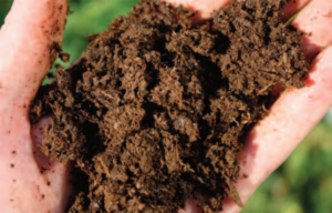 Cover photo for Waste Samples: Kits, Fees, and FAQ