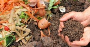 Cover photo for Backyard Composting 101: Recycle Your Food Waste