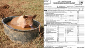 Cover photo for Register Now for Extension's Farm Tax Webinars!