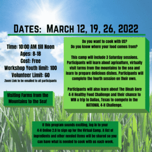 Flier describing online Farm to Fork Camp.