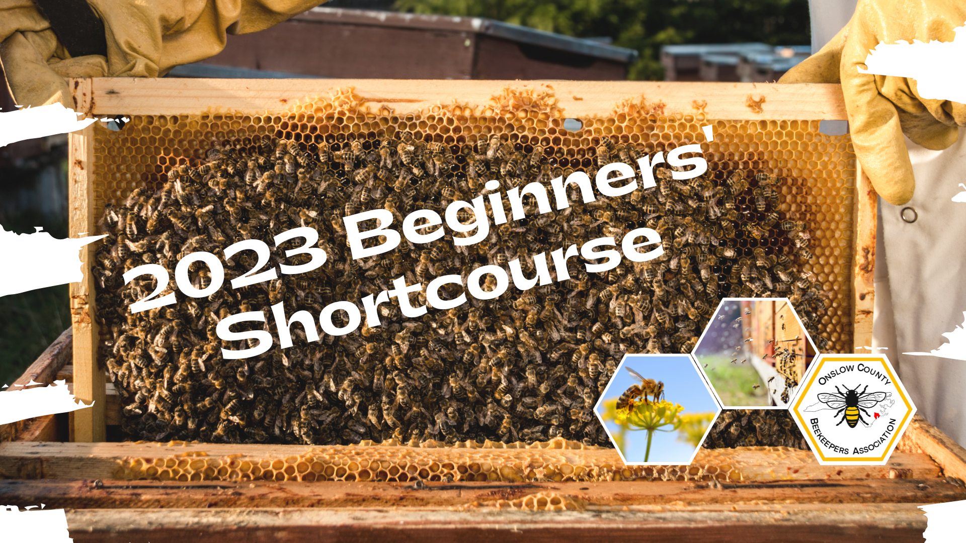 Onslow County Beekeepers 2023 Beginners Short Course graphic