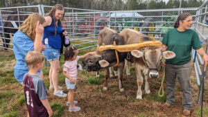 Allison Sturgill's oxen team was very popular!