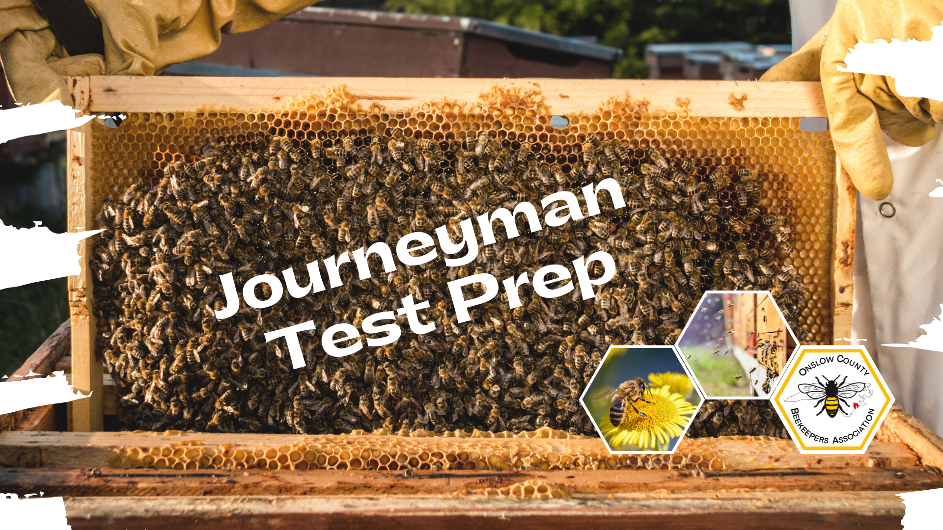 2024 NC Journeyman Beekeeping Test Prep