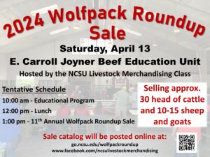 Cover photo for 2024 Wolfpack Roundup Sale and Educational Program