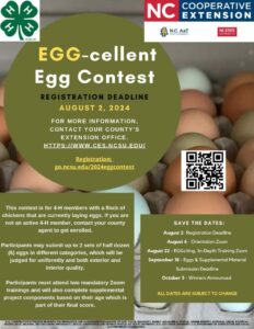 Flyer for Egg-cellent Egg contest. All information written on post.