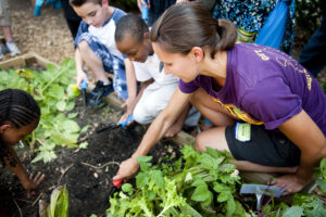 Cover photo for 2025 Budding Botanist Summer Program