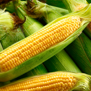 Image features a stack of corn