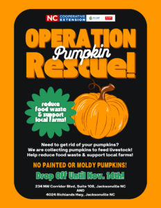 pumpkin donation flyer